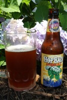 Hop on beer. Do not hop on hydrangeas.