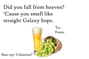 beerminegalaxy